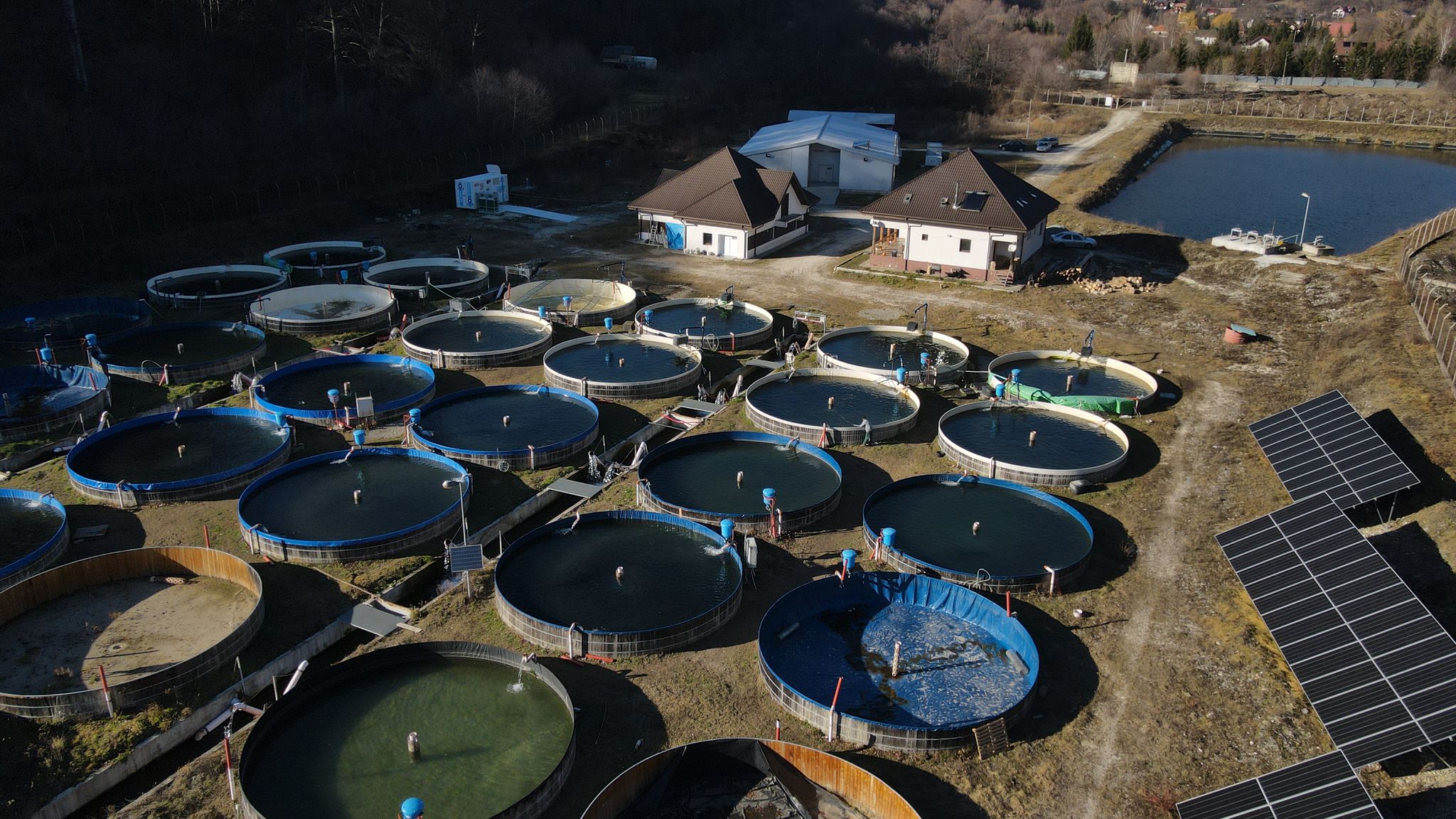 Imagine din galeria păstrăvăriei