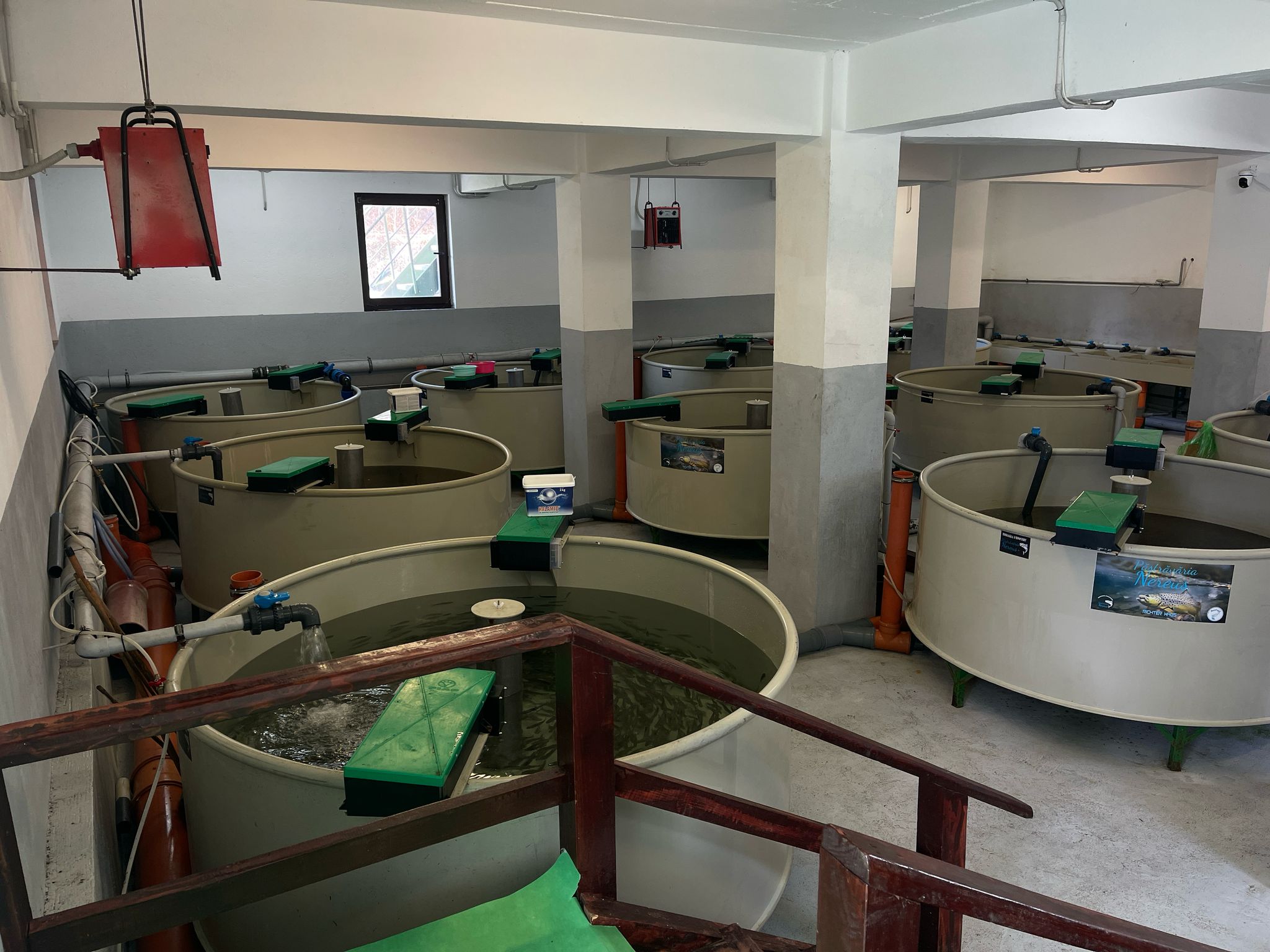 Imagine din galeria păstrăvăriei